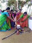 Pongal Day Celebration